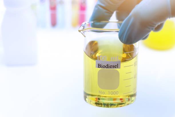 biodiesel-experimente aus natürlichen rohstoffen im labor - biodiesel stock-fotos und bilder