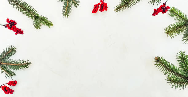 istock Christmas light background, fir branches with red berries. 1359509993
