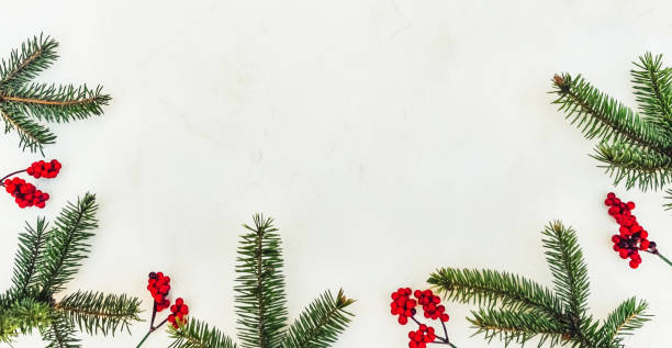 istock Christmas light background, fir branches with red berries. 1359510012