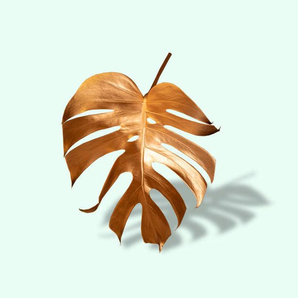 istock Golden tropical palm leaf Monstera on pastel luxury green . Abstract pattern for design and space for text 1359513739