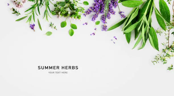 Photo of Rosemary, lavender, marjoram, sage and thyme composition