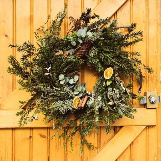 Picture of a finished handmade Christmas wreath made of evergreen tree branches dry fruits oranges pine cones.