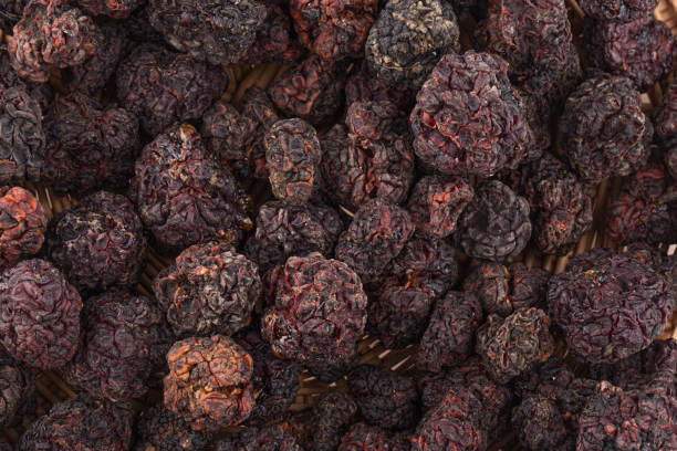 istock Dried cudrania tricuspidata fruit on a white background. 1359523820