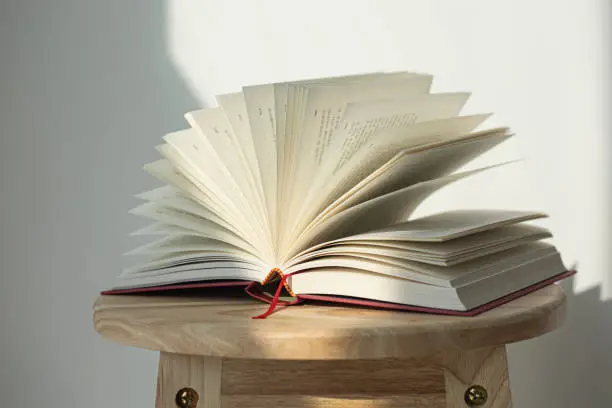 pages spread of open book isolated on wood background