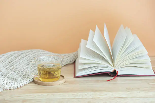 pages spread of open book isolated on wood background