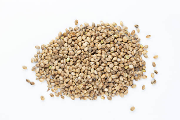 dried hemp seeds - hemp seed heap white imagens e fotografias de stock