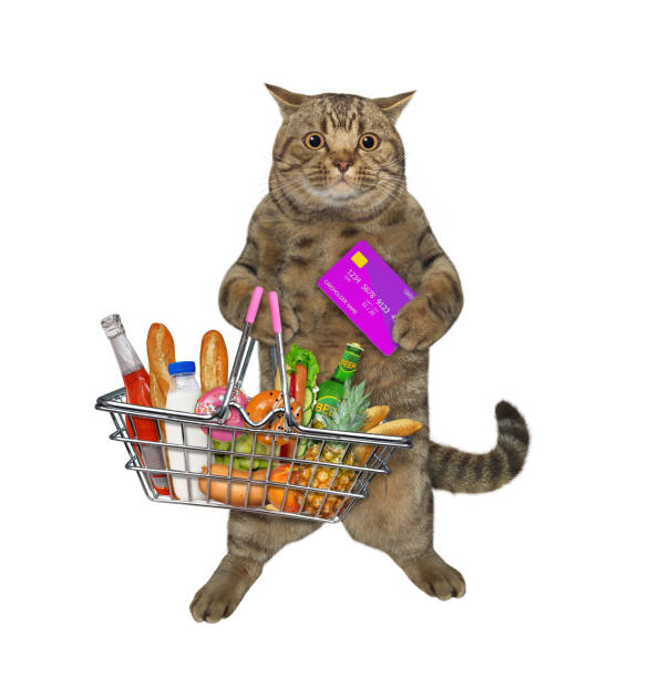 istock Cat with metal basket and credit card 1359525720