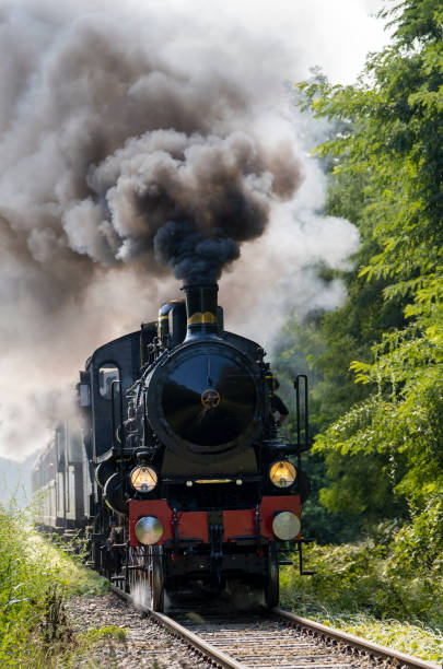istock Old steam locomotive 1359527199