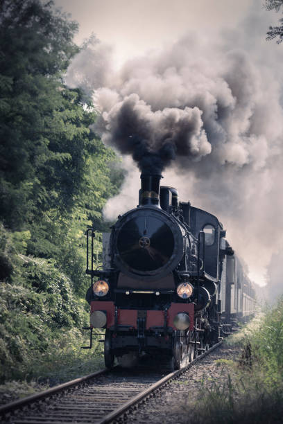 istock Old steam locomotive 1359527302