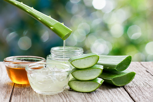 Aloe vera leaf with aloevera gel and honey on wooden table with green bokeh nature background.