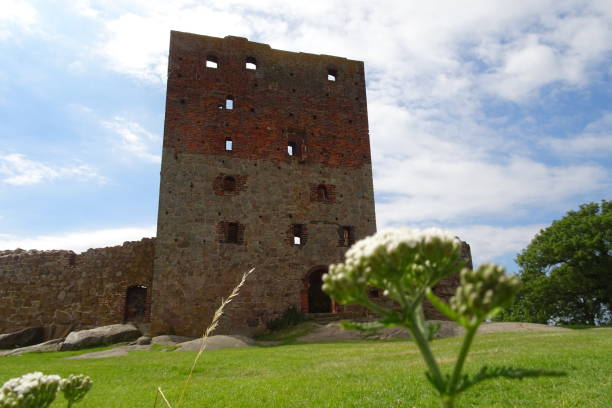 замок хаммерсхус - борнхольм - дания - чертополох - hammershus bornholm island denmark island стоковые фото и изображения