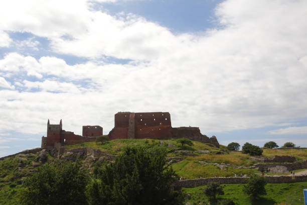 замок хаммерсхус - борнхольм - дания - чертополох - hammershus bornholm island denmark island стоковые фото и изображения