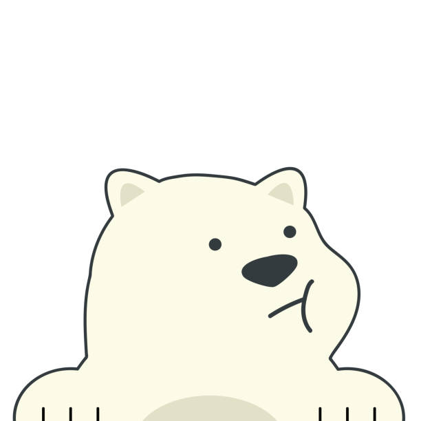 милый белый медведь мультфильм векторная иллюстрация - polar bear young animal isolated cub stock illustrations