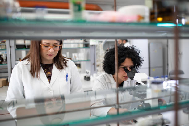 Two female researchers using microscope stock photo