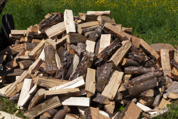 istock wood cut into logs for use in a stove or fireplace 1359533186
