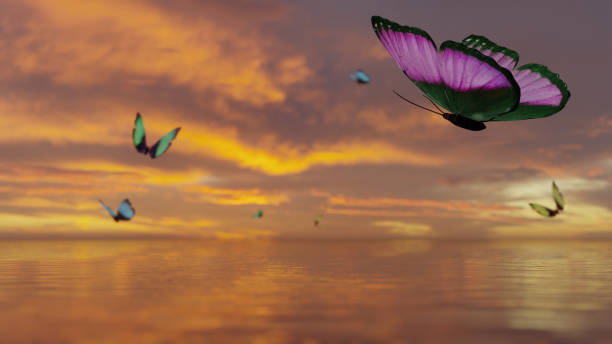istock Beauty flying in sunset 1359533199