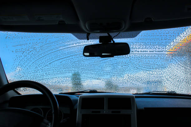 Cleaning dirty windshield of a car with foam washing, cleaning, dirty, car, clean labroides dimidiatus stock pictures, royalty-free photos & images