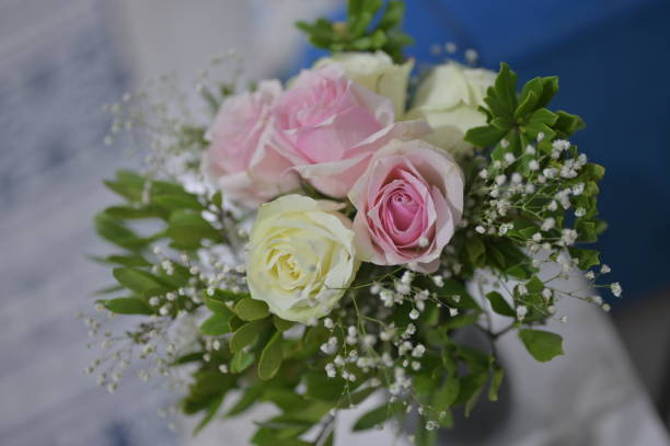 istock A bunch of beautiful colored flowers 1359535746