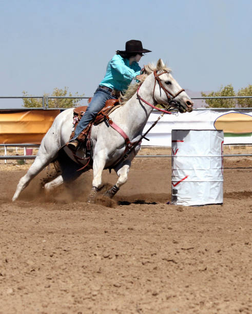 istock Barrel Racer - Stock image Rodeo, Horse, Motion, Cowboy, Activity 135954075