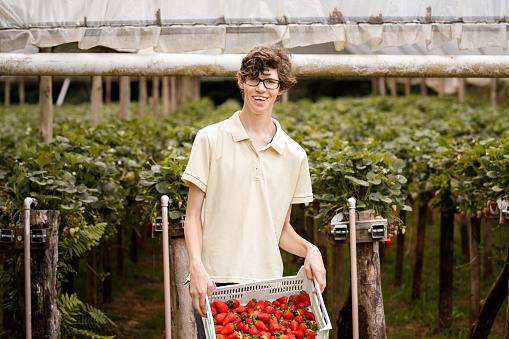 istock Boy with cerebral palsy showing a box full of harvested organic strawberries 1359544731