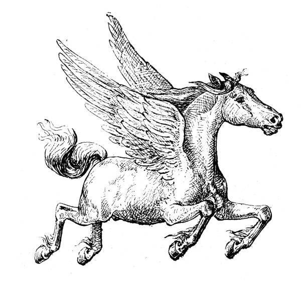 antike illustration: pegasus - pegasus stock-grafiken, -clipart, -cartoons und -symbole