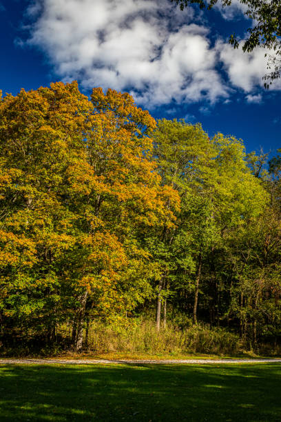 istock Autumn in Parke County Indiana 1359552131