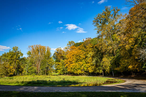 istock Autumn in Parke County Indiana 1359552223