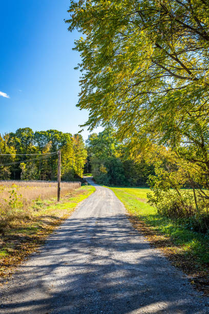 istock Parke County Indiana Rural Road 1359553440