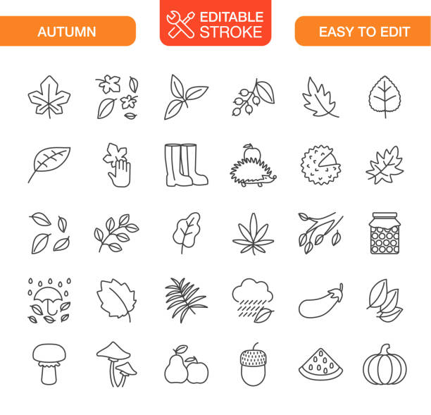 가을 라인 아이콘 세트. 편집 가능한 스트로크. - chestnut pumpkin leaf autumn stock illustrations