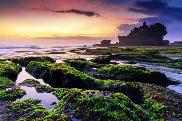 закат в храме танах лот, бали, индонезия - travel destinations bali tanah lot temple стоковые фото и изображения