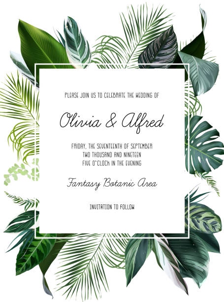 Emerald green monstera, calathea, palm tropical leaves template square card Emerald green monstera, calathea, palm tropical leaves template square card. Emerald exotic greenery frame. Island wedding invitation. Tourism and vacation banner. Elements are isolated and editable zebra plant stock illustrations