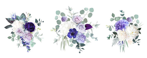 ペリウィンクルバイオレット、紫色のアネモネ、ほこりっぽいモーヴとライラックローズ、白いアジサイ、ヒヤシンス - catharanthus点のイラスト素材／クリップアート素材／マンガ素材／アイコン素材