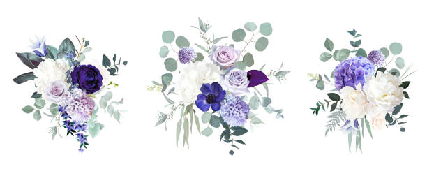 Periwinkle violet, purple anemone, dusty mauve and lilac rose, white hydrangea, hyacinth Periwinkle violet, purple anemone, dusty mauve and lilac rose, white hydrangea, hyacinth, magnolia, peony, eucalyptus vector design bouquets. Stylish wedding flowers.Elements are isolated and editable hyacinth stock illustrations