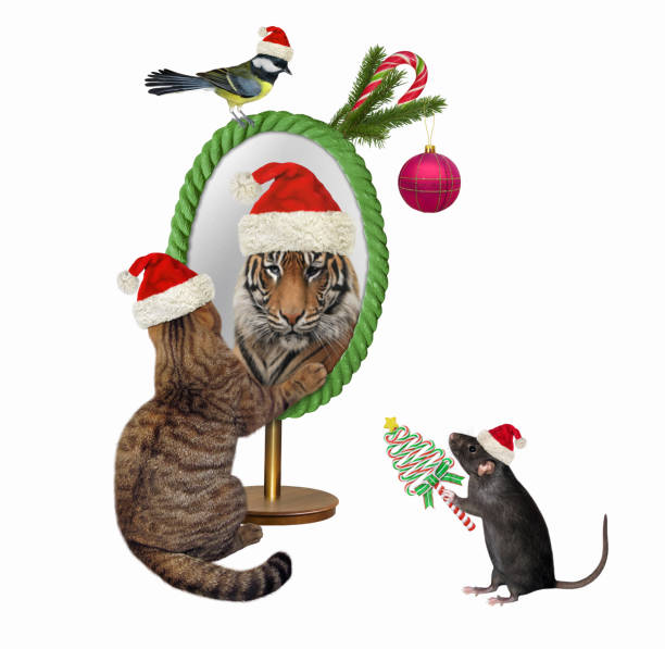 istock Cat looks in oval mirror for Christmas 1359557860