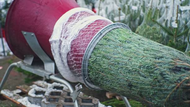 istock Green Christmas Tree Pulled Through Net Wrap Packaging Machine Funelling Tube on Outdoor Market 1359558725