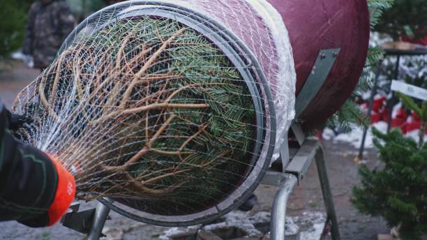 istock Green Christmas Tree Pulled Through Net Wrap Packaging Machine Funelling Tube on Outdoor Market 1359558741