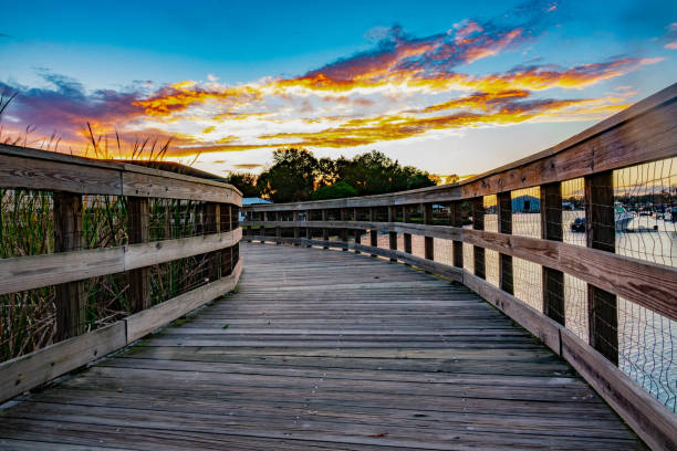 istock Wooden walkway leading into the sunset with deep blue sky and orange clouds 1359561097