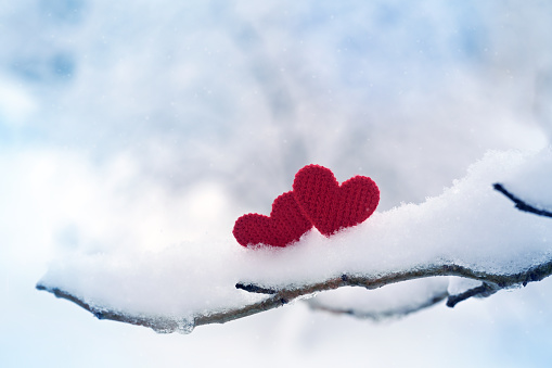 Red hearts on snowy tree branch in winter. Holidays. Happy valentines day celebration. Heart love concept.