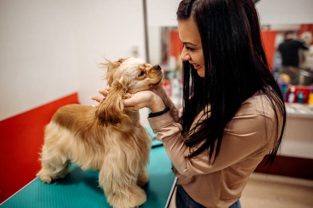 istock I love my job 1359570218