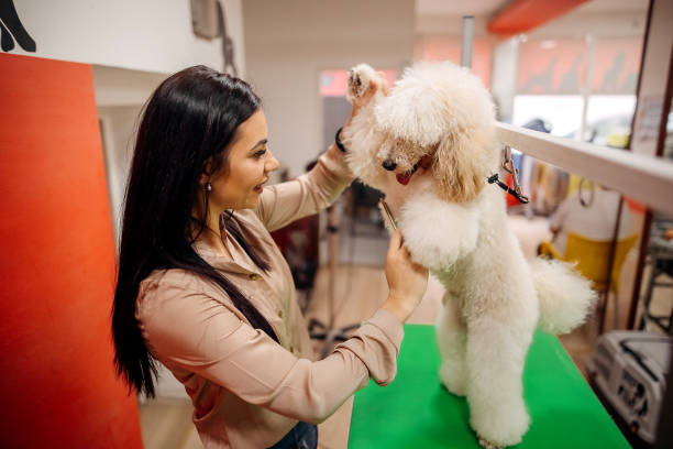 istock I love animals and my job 1359570321