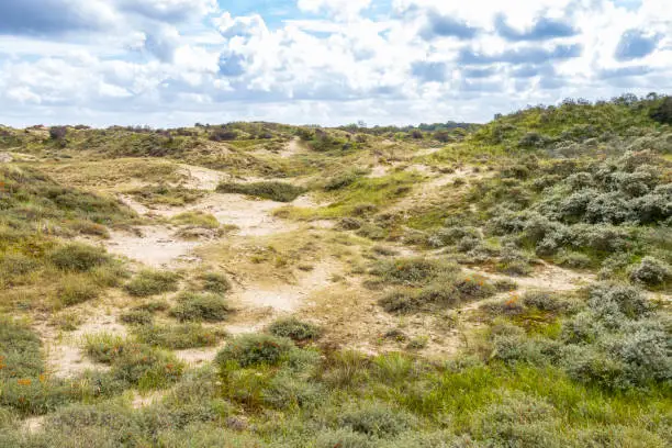 Photo of Landscape Nationaal Park Hollandse Duinen with dunes under a clouded sky