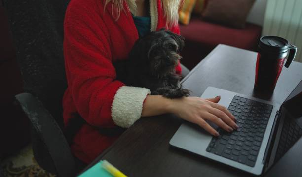 istock Young woman sharing the working space with her pet dog 1359573592