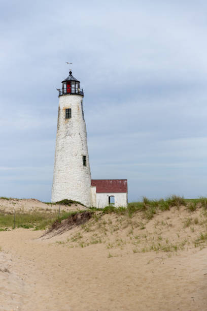 Seagull hovering over the Great Point Lighthouse on Nantucket. stock photo