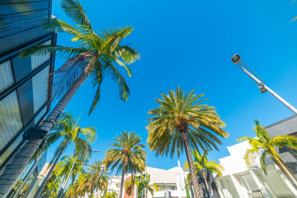 istock Palm trees in world famous Rodeo Drive in Beverly Hills 1359574194