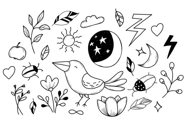 Set of magic signs, beetle and crow, flower and moon with starry sky in handmade linear doodle style. Vector illustration. Isolated elements for design, decor, postcards and print Set of magic signs, beetle and crow, flower and moon with starry sky in handmade linear doodle style. Vector illustration. Isolated elements for design, decor, postcards and print lotus flower drawing stock illustrations
