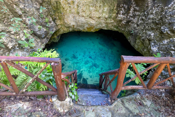 Scenic Cenote Casa Tortuga near Tulum and Playa Del Carmen, a popular tourist attraction for local and international tourism Scenic Cenote Casa Tortuga near Tulum and Playa Del Carmen, a popular tourist attraction for local and international tourism. playa del carmen stock pictures, royalty-free photos & images
