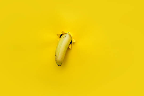A small banana curved downward through a torn hole in yellow paper. Tropical fruit, vegetarianism. Bright background with copy space.The concept of impotence, erectile dysfunction, joke.Half past five stock photo