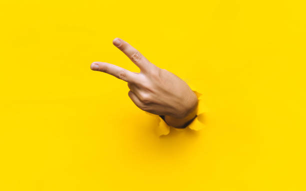 istock Victory sign two-finger hand gesture on yellow background with torn paper hole and copy space. It is ok concept. Backside. 1359581489