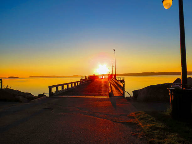 istock Sunrise over the Pier 1359582441