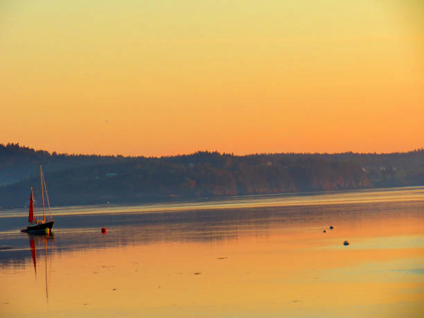 istock Sunrise over the Pier 1359582445
